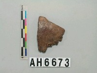 藏品(人頭蓋骨)的圖片